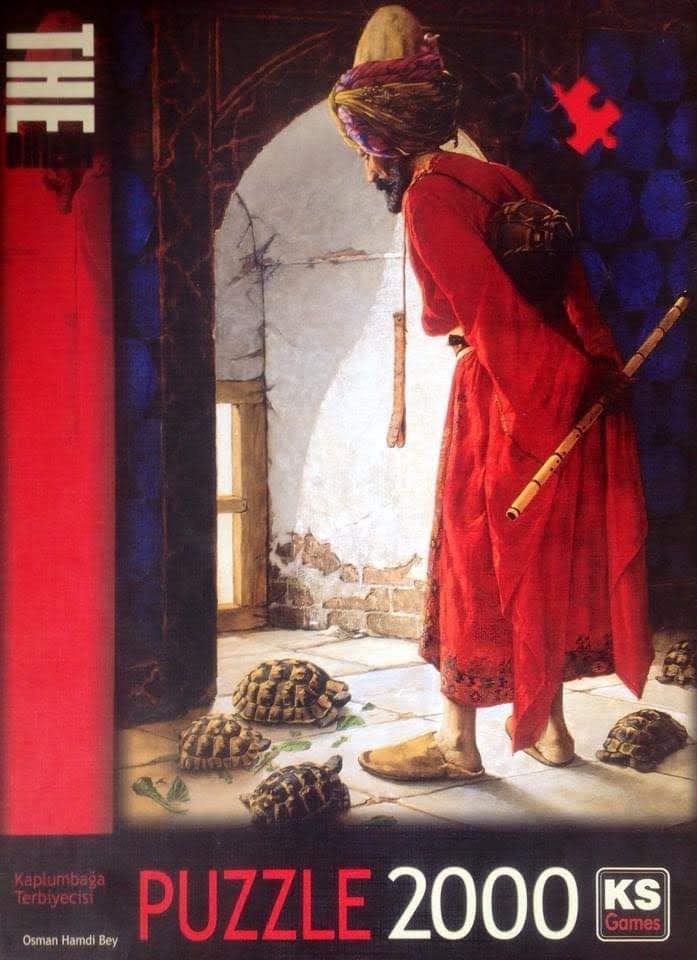 The Turtle Trainer